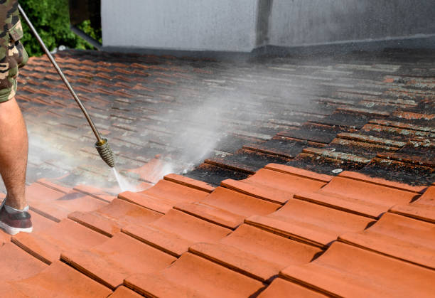 Best Affordable Pressure Washing  in Carthage, NC